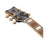 IBANEZ JSM10EM TTB Two Tone Burst - immagine 8