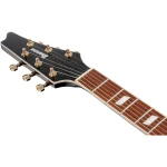 Ibanez IC420AAB I Antique Autumn Burst - immagine 2