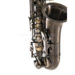 Sax Alto MiB Satinato AS-202A - immagine 3