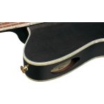 IBANEZ TOD10N Tim Henson Signature Transparent Black Flat - immagine 6