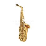Yamaha Sax Alto in MiB Laccato YAS-875EX/05