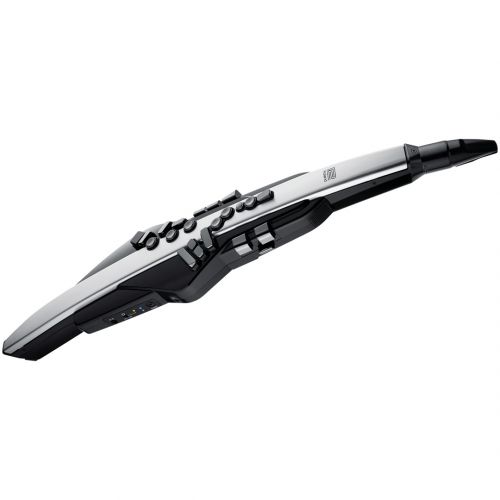 aerofono_digitale_roland_ae-30_0006_livello_1.jpg Roland Ae-30 Aerophone pro - immagine 1