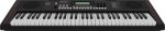 ROLAND E-X10 - immagine 2