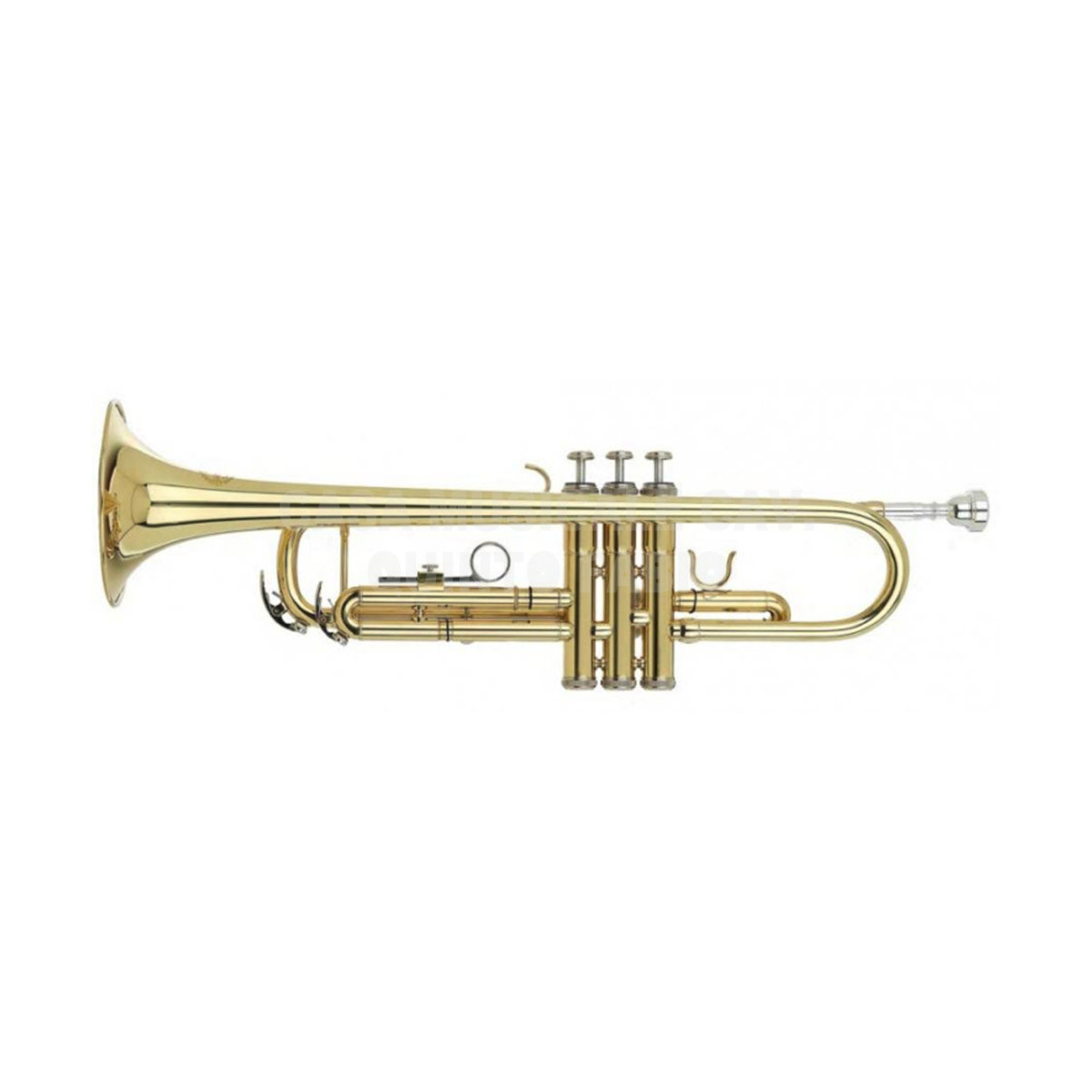 efefx.jpg Grassi Tromba STR-500 - immagine 1