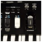 Roland Fisarmonica FR-4X Red - immagine 2