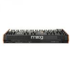 MOOG Muse - immagine 4