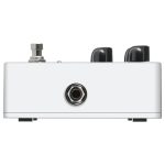 Ampeg Opto Comp Analogue Bass Compressor - immagine 4