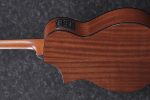 IBANEZ AEWC11 Transparent Charcoal Burst - immagine 4