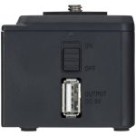 ZOOM BCQ-2n - battery pack - immagine 4