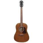 Camwood IW-240 MNS CWE Acustica Elettrificata