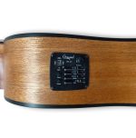Camwood IW-240 MNS CWE Acustica Elettrificata - immagine 5