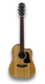 Camwood IW-240 MNS CWE Acustica Elettrificata - immagine 6