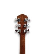 Camwood IW-240 MNS CWE Acustica Elettrificata - immagine 7