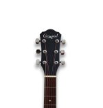 Camwood IW-240 MNS CWE Acustica Elettrificata - immagine 8
