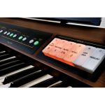 ROLAND C200 Classic Organ con Stand - immagine 2